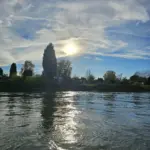 Boot fahren auf dem Rhein