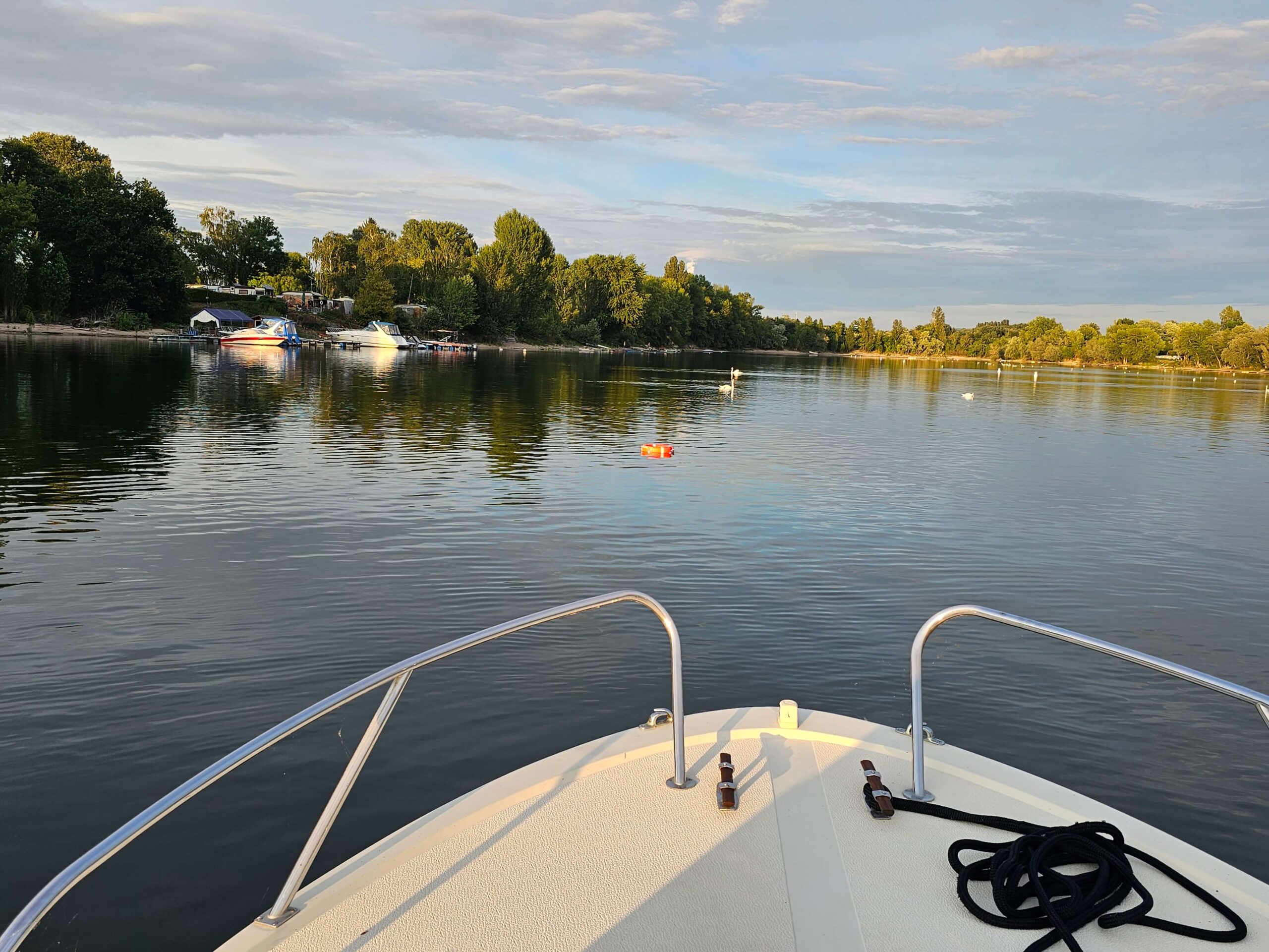 Blick auf das Übungsrevier Kiefweiher in Ludwigshafen am Rhein für die praktische Prüfung zum SBF Binnen und See.
